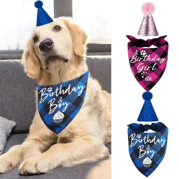 Dog first cheap birthday outfit