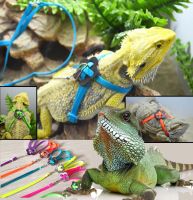 Reptile Lizard Dragon Harness Leash Adjustable Walking Hauling Cable Belt Traction Training Rope Pet Supplies Collar Chest Strap Leashes