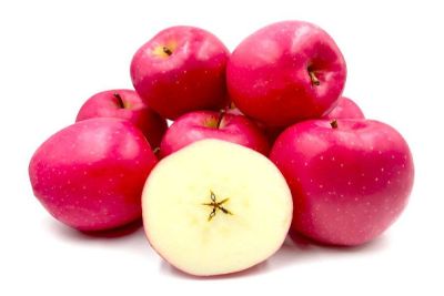 20 เมล็ด เมล็ดแอปเปิ้ล สายพันธุ์ แอปเปิล มุทสึ ของแท้ 100% อัตราการงอก 70-80% Apple Seed มีคู่มือปลูก