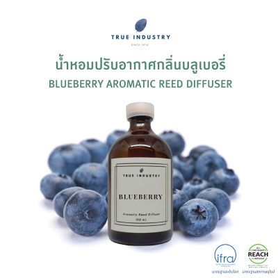 น้ำหอมปรับอากาศ กลิ่นบลูเบอร์รี่ (Blueberry Aromatic Reed Diffuser)