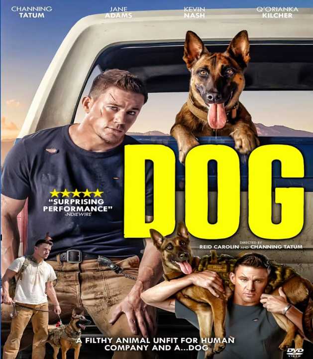 DVD English Movie Dog (2022) | Lazada