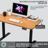 Arctik Ergonomic Desk Dual Motor โต๊ะยืนไฟฟ้า โต๊ะปรับความสูง,โต๊ะคอมพิวเตอร์ จัดโต๊ะคอม สั่งทำโต๊ะ รับประกัน 5 ปี 140x75 cm , 120x60 cm, 160x80 cm.