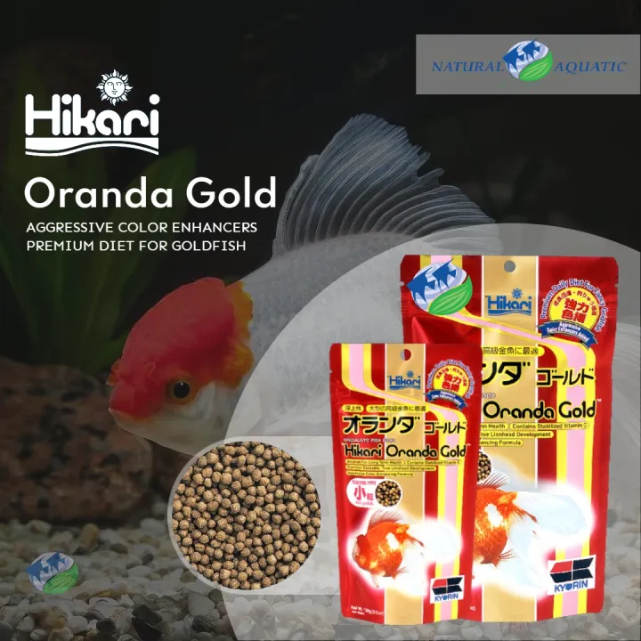 Hikari Oranda Gold (100g /300g) Floating Type, Goldfish Food/ Lionhead