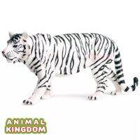 Animal Kingdom - โมเดล Tiger เสือโคร่ง เผือก ขนาด 15.00 CM (จากสงขลา)