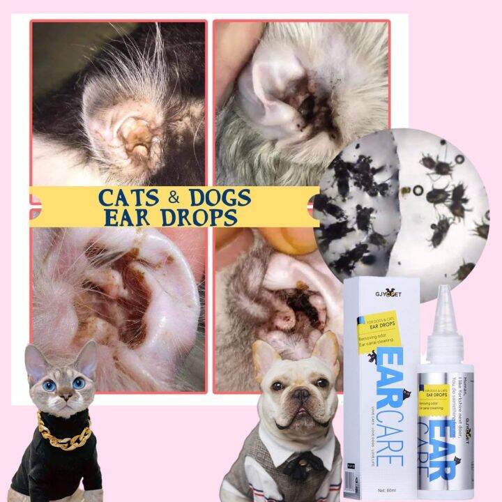 Pet ear drops removing odor ear canal cleaning cat ear mite dog earwax