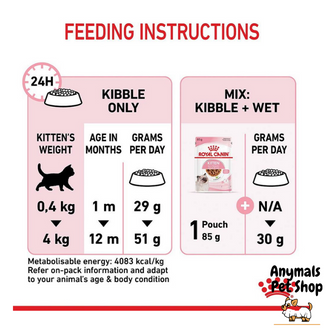 royal-canin-kitten-อาหารลูกแมว-อายุ-4-12-เดือน-4-กิโล