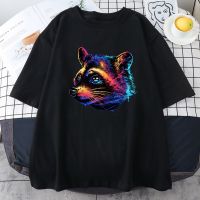 Tshirt Melancholy Raccoon Print Clothes Oneckfashion Hiphop Funny Animal