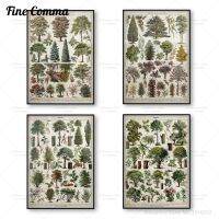 ✱✘ ต้นไม้ชนิด Wall Art VINTAGE ต้นไม้โปสเตอร์พิมพ์ Botanical Tree Art Forest Wall ภาพวาดแผนภูมิต้นไม้พิมพ์ของขวัญตกแต่งบ้าน