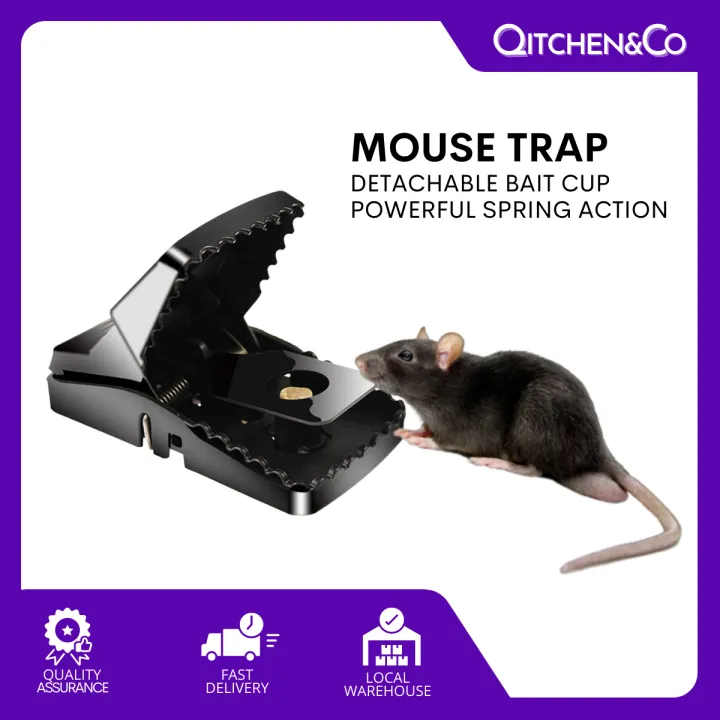 Qitchen&Co Daga Trap Mouse Killer | Lazada PH