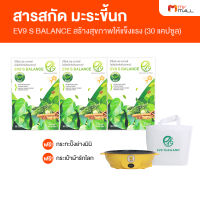 (3 กล่อง พร้อมของแถม) EV9 S Balance อีวีไนน์ เอส บาลานซ์  อาหารเสริมลดน้ำตาล สมุนไพรลดน้ำตาล