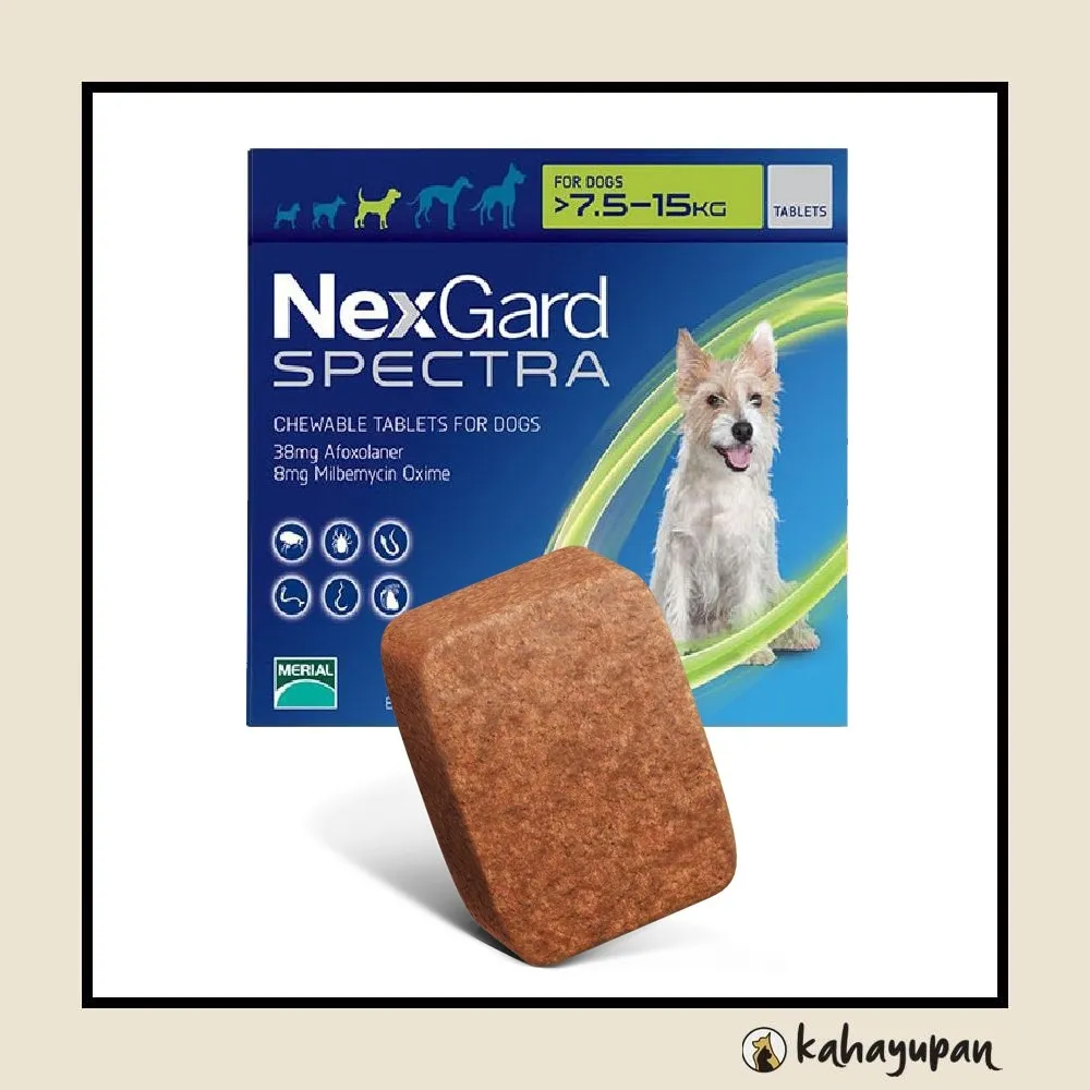Does Nexgard Kill Worms In Dogs