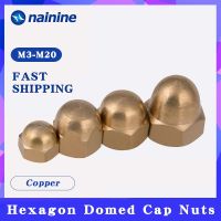 【High-quality】 5/10Pcs M3 M4 M6 M8 M10หมวกทองเหลือง Hex Nuts ตกแต่งฝาครอบโดมครึ่งวงกลม Acorn Nut DIN1587