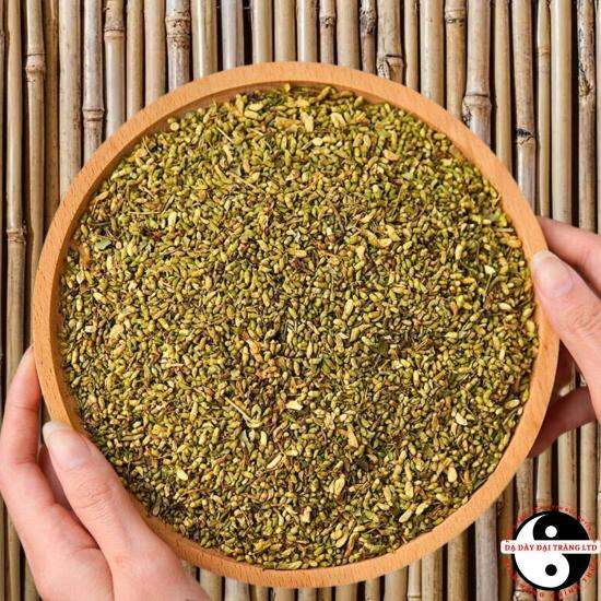 Công dụng của trà hoa hòe sấy khô Công dụng của trà hoa hòe sấy khô