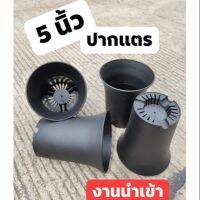 กระถาง ปากแตร 5 นิ้ว งานนำเข้า คุณภาพดี (W02)