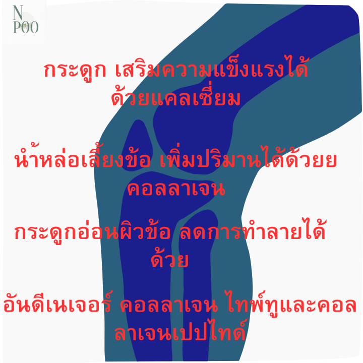 giffarine-collastin-กิฟฟารีน-คอลลาสติน