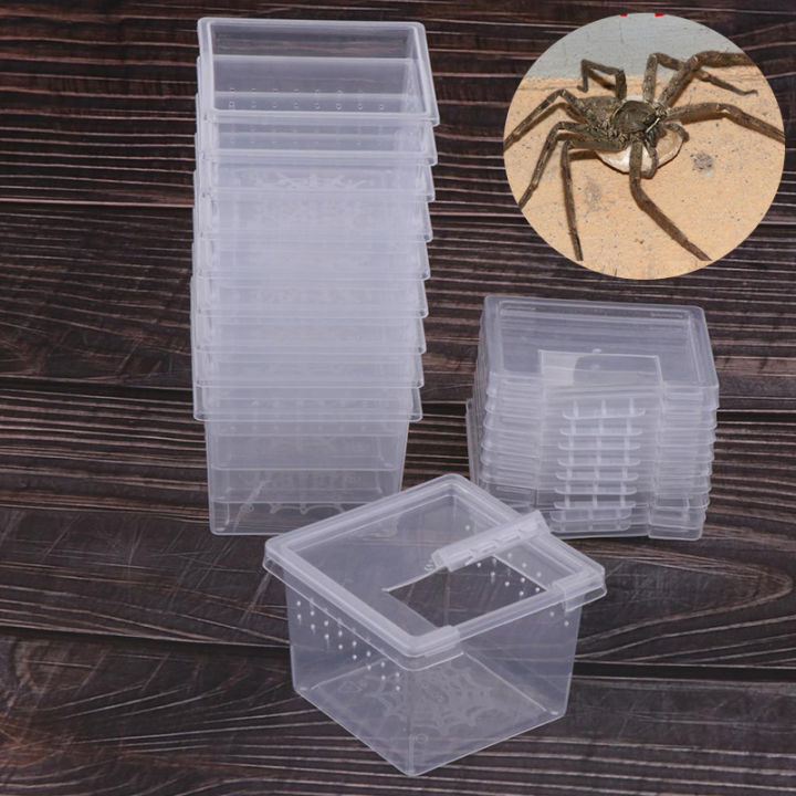 กล่องแมงมุม-กล่องเลี้ยงแมงมุม-กล่องเลี้ยงสัตว์เล็ก-สัตว์เลื้อยคลาน-สัตว์เล็ก-ขนาด-6-6x4-5ซม-10ชิ้น