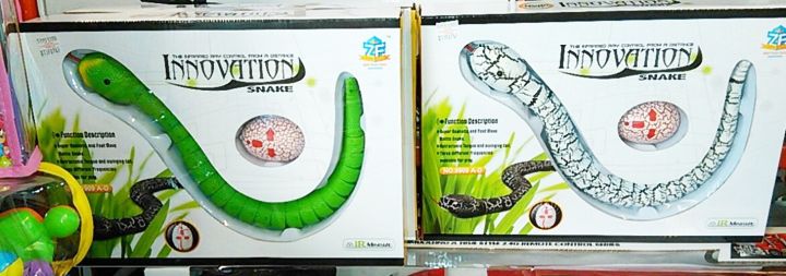 งูของเล่นชารจไฟ-มีรีโมท-รูปใข่-เคลื่อนไหวได้-innovation-snake