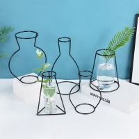 Retro Iron Wire Vase Line Table Flowers Vase Home Living Room Metal Plant Holder Home Nordic Styles Flower Vase Pot Decoration