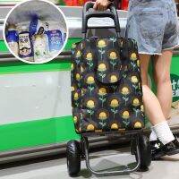 Portable Shopping Trolley Bag Cart with 2 Big Wheels Folding Cart for Market Purchase Picnic Camping with Insulation Inner Layer