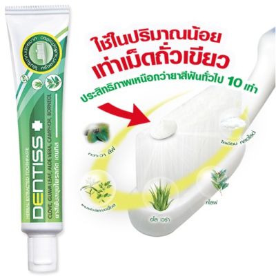 Mistine Dentiss Herbal Extracted Toothpaste เดนทิส ยาสีฟันสมุนไพรสกัด ประสิทธิภาพเหนือกว่ายาสีฟันทั่วไปถึง 10 เท่า