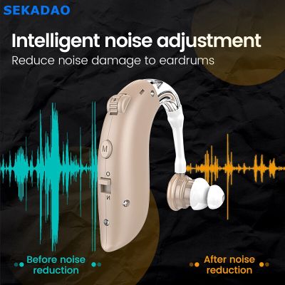 ZZOOI 2021 Newest Bluetooth Medical Rechargeable Hearing Aid Mini Sound Amplifier Hearing Aids Hearing Amplifier for The Elderly