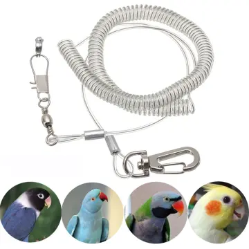 Bird Harness Adjustable Parrot Leash Harness Training Rope Flying Band Bird  Rope Outdoor Training Long Rope Belt Walking Lead