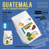 Tanmonkey Coffee เมล็ดกาแฟคั่ว SOE Guatemala SHB EP Huehuetenango Washed Process