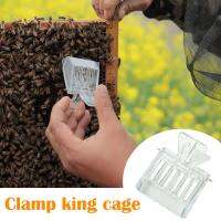 Plastic Prisoner King Cage Clamp King Cage Queen Bee Controller A1N6