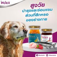 Basstasia (12ชิ้น) อะมิโน บูสเตอร์ ซุปไก่และปลาสกัดเข้มข้น หอมอร่อย บำรุงทันที สำหรับสุนัข และแมว (ตัวเลือก)