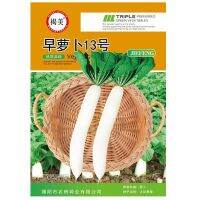 radish cabbage head fast early high yield short leaf No. 13 packaging 20g rapeseed balcony potted