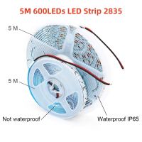 แถบโคมไฟบ้านแถบไฟ LED Led ยาว5เมตร600 DC12V 120หลอด/เมตรแถบน้ำแข็งแดงฟ้าสีเขียวเหลืองชมพูยืดหยุ่นและตัดได้โคมไฟเพดานหลอดไฟ LED บาร์แถบไฟแถบไฟ Led