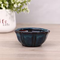 1PC 7.5x3.5cm New Hexagon Purple Clay Ceramics Bonsai Bonsai Pots Pots Succulent Flower Pot Breathable Stoneware With Holes