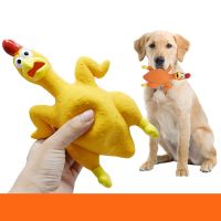 New Screeming Chicken Pet Toy Latex Chick Funny Decompression Vent Screaming Chicken Sound Pet Toy for Small Large Dogs Supplies