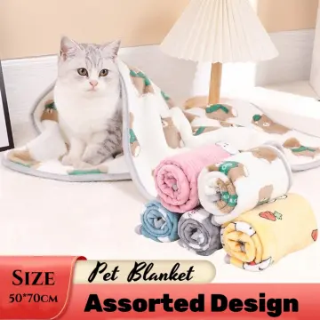 Blanket with cat outlet design