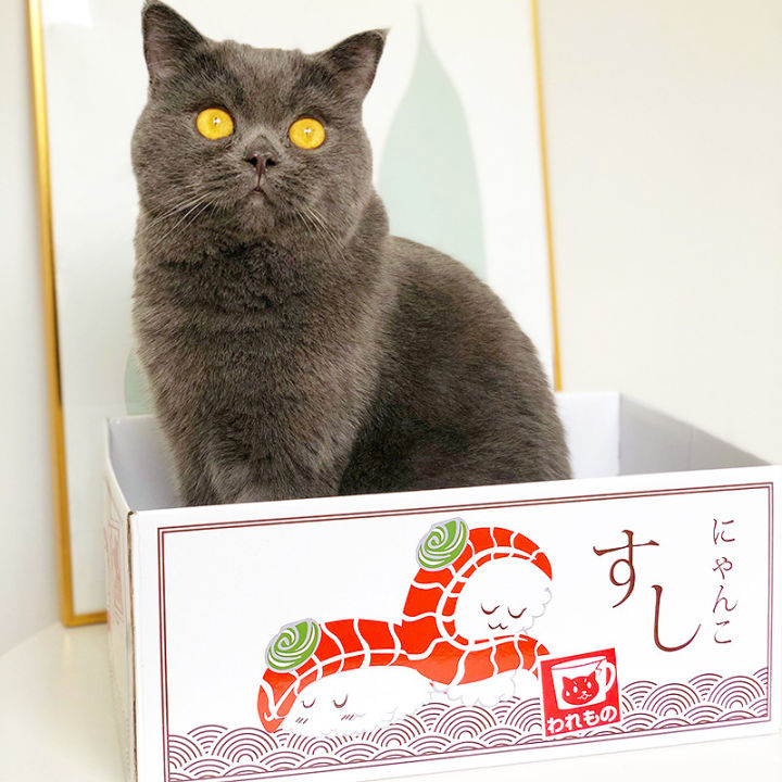 แมวกล่องกระดาษแข็งลูกแมวบดเกาคณะกรรมการกรงเล็บของเล่นกรงตลกมิ้นท์กล่องนอนพิมพ์-zephyr-บ้านน่ารักสำหรับแมว