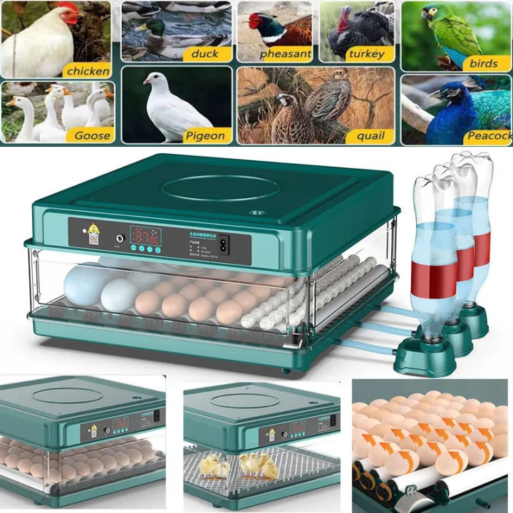 ไข่ไก่อัตโนมัติ-incubator-brooder-สัตว์ปีกฟาร์มสัตว์อุปกรณ์เสริมเครื่องมือความร้อนห่านเป็ดนกนกกระทาไข่-light-incubator