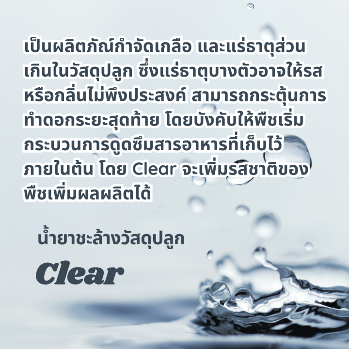 clear-น้ำยาฟรัช-ล้างสารเคมีตกค้างจากปุ๋ย-flushing-solution-ให้พลังงานในช่วงสุดท้ายก่อนเก็บเกี่ยว