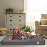 BingoPaw L-3XL ที่นอนสัตว์เลี้ยง เตียงสุนัข Orthopedic Foam Dog Bed with Removable Washable Cover เสำหรับสัตว์เลี้ยง ที่นอนสัตว์เลี้ยง