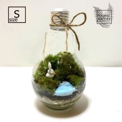 ชุดจัดสวนขวดแก้ว terrarium DIY Size M ทรงหลอดไฟ