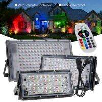 50W 100W 150W RGB LED Flood Light AC 220V EU Plug IP65 Waterproof LED Spotlight Landscape Lighting With Remote