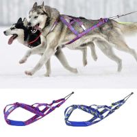 Winter Dog Sledding Harness Durable Pet Weight Pull Harness Reflective Training Vest Adjustable For Medium Large Dogs Skijoring Cleaning Tools