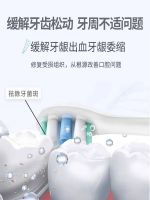 High efficiency Japan original Special toothpaste for loose teeth and fixed teeth periodontitis gingival atrophy regeneration desensitization tooth cleaning agent