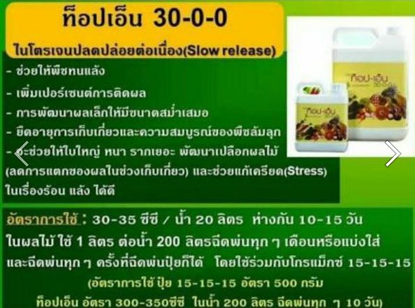 ปุ๋ย-ท็อป-เอ็น-30-0-0-ปุ๋ย-กิฟฟารีน-ปุ๋ยน้ำ-เทคโนโลยีล่าสุดของการผลิตปุ๋ยไนโตรเจน-ปุ๋ยน้ำทางใบ-ปุ๋ยกิฟฟารีน