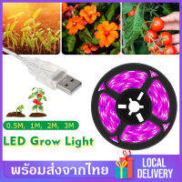 ?พร้อมส่งจากไทย?ไฟปลูกต้นไม้LEDไฟปลูกพืชPlant Growing Light Full Spectrum USB โคมไฟ USB 5V ไฟปลูกผัก ไฟส่องต้นไม้ ไฟปลูกพืช ไฟเลี้ยงต้นไม้ สําหรับปลูกพืชไฮโดรโปนิกช่วยการเจริญเติบโตของพืช 50/100/200/300cm J53