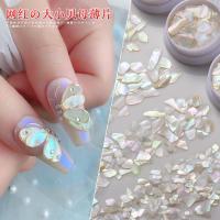 ?เปลือกหอย ลายรุ้ง แต่งเล็บ เปลือกหอยแผ่น(แบบปุก)Slice Nail Glitter Shell