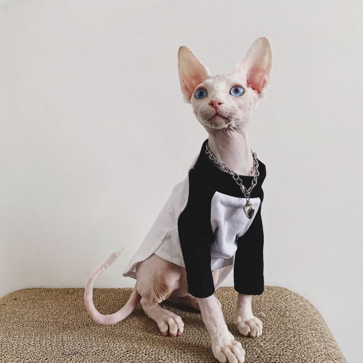 เสื้อผ้าแมวเสื้อเชิ้ตแมวสฟิงซ์เดเวนลำลอง100-เบสบอลผ้าฝ้ายอินเทรนด์เสื้อเชิ้ตตัวในฤดูใบไม้ร่วงและฤดูร้อน