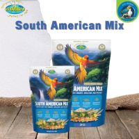 Vetafarm South American Mix เซาท์ อเมริกัน มิกซ์ อุดมไปด้วยสารอาหาร วิตามิน แร่ธาตุ (อาหารนกทุกสายพันธุ์)