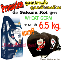 ( แถมฟรี Mask Sakura Koi ) อาหารปลาคาร์ฟ​ซากุ​ระ ​โค่​ย ( SAKURA KOI )​ สูตรวีทเจิร์ม WHEAT GERM FORMULA  ขนาด 6.5 kg. ( เม็ด M )