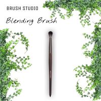 BRUSH STUDIO Tropical : Blending Brush แปรงผสมสีอายแชโดว