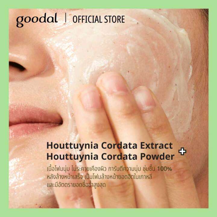 goodal-โฟมล้างหน้า-houttuynia-cordata-calming-cleansing-foam-150ml-โฟมล้างสำหรับหน้าผิวแพ้ง่าย-ล้างสะอาดหมดจด-แต่คงความนุ่มชุ่มชื่น-ผิวสุขภาพดี